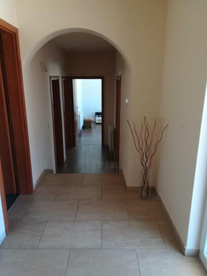 Apartmán Laura Bibinje Exteriér fotografie