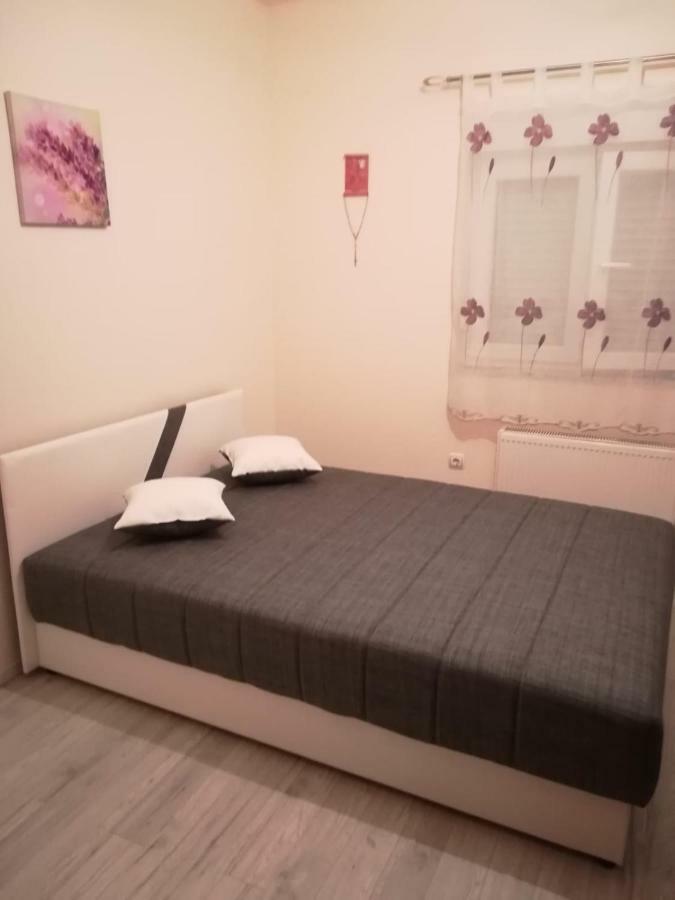 Apartmán Laura Bibinje Exteriér fotografie